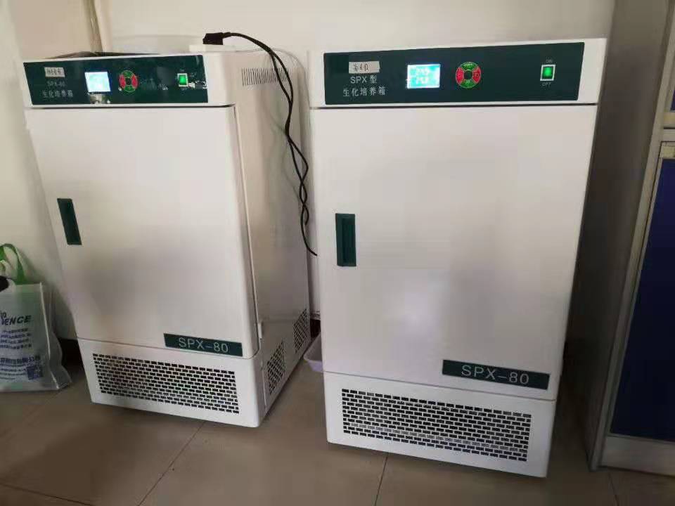 Konstant temperatur biokemisk inkubator